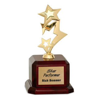 Personalised Engraved Shooting Star Great Player Team Award