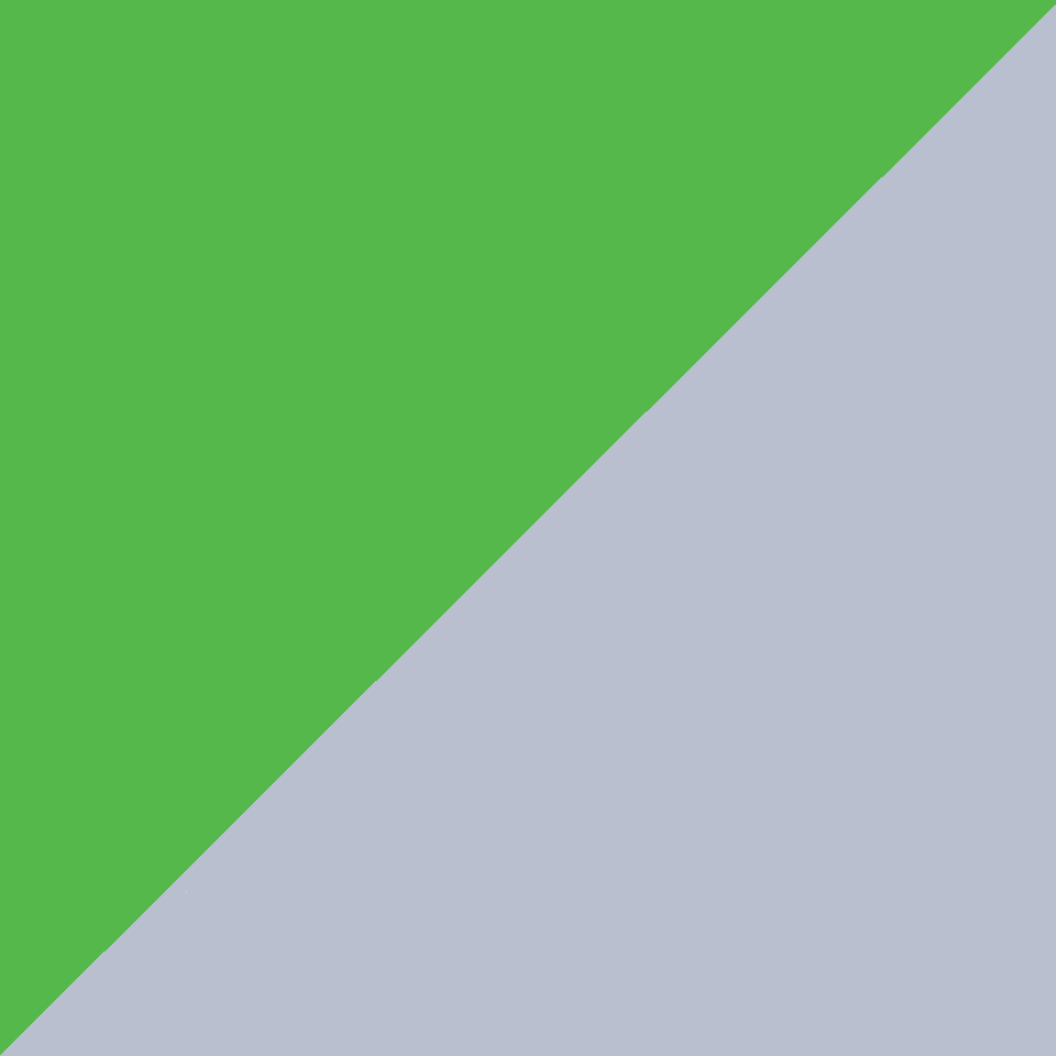 Green With Silver Trim