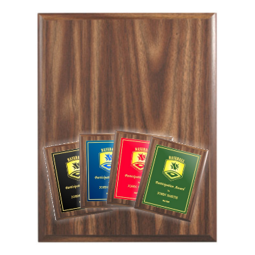 Show products in category Economical Plaques Picture for category Economical Plaques