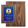 7 x 9 Blue Economy Walnut Plaque