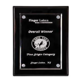 9" x 12" Black Floating Award Plaques | Engraved Plaques | Personalized Plaques | Custom Awards and Plaques | MawardsPlus.com