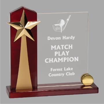 Rising Star Clear Acrylic Award Rising Star Clear Acrylic Award