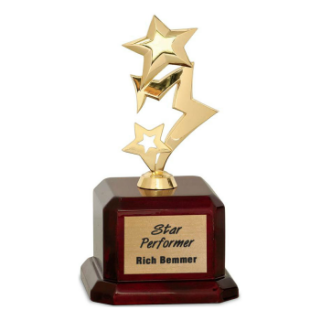 Picture of Shooting Star Award