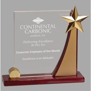 Curve Rising Star Acrylic Award