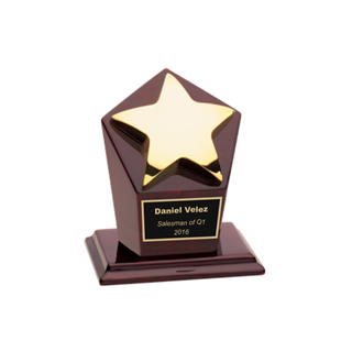 Personalised For FREE and Free p&p Runner Up-Everyday Hero Award Trophy 
