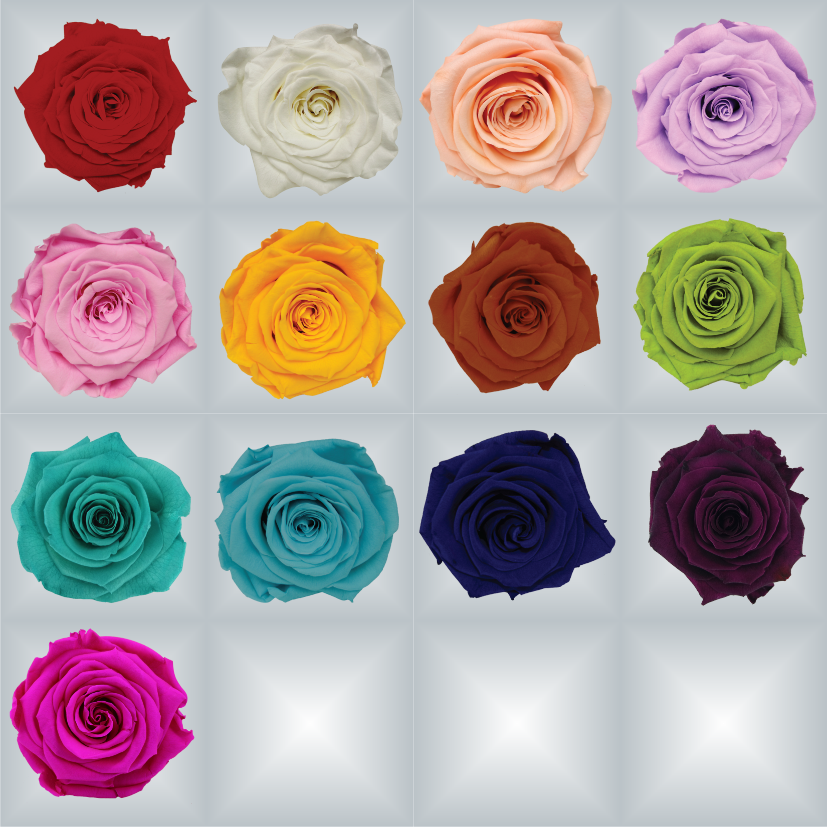 Shop Appreciation Deluxe Rose Gift Box - mAwardsplus.com