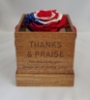 American Flag Rose Flower Gift
