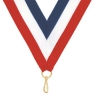 Picture of Rectangular Medal with Ribbon