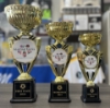 Picture of Gold Trophy Cup Award