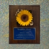 Forever Bloom Plaque - Impact
