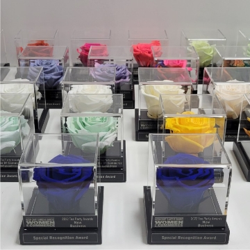 Forever Bloom Rising Star Award – acrylic box with single preserved rose Forever Bloom Rising Star Award – acrylic box with single preserved rose