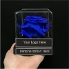 Forever Bloom Rising Star Award – acrylic box with single preserved rose with personalization options