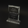 Diamond Cut Crystal Rectangular Award on Clear Base