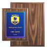 7×9 economic walnut plaque with custom blue and gold engraved plate – recognition award